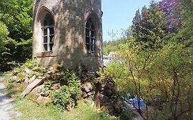 Rapunzel trifft Dornröschen